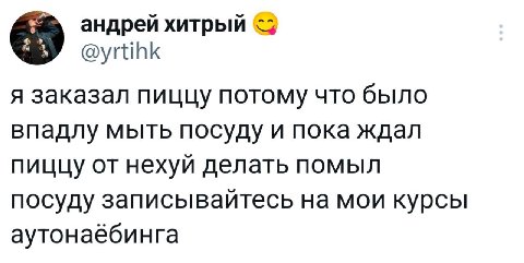 андрей хитрый я заказал пиццу потому что было впадлу мыть посуду и пока ждал пиццу от нехуй делать помыл посуду записывайтесь на мои курсы аутонаёбинга