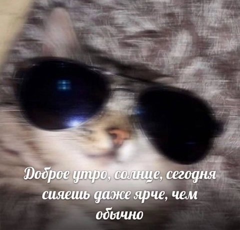Dodpoe сегодня сияешь даже ярче, чем