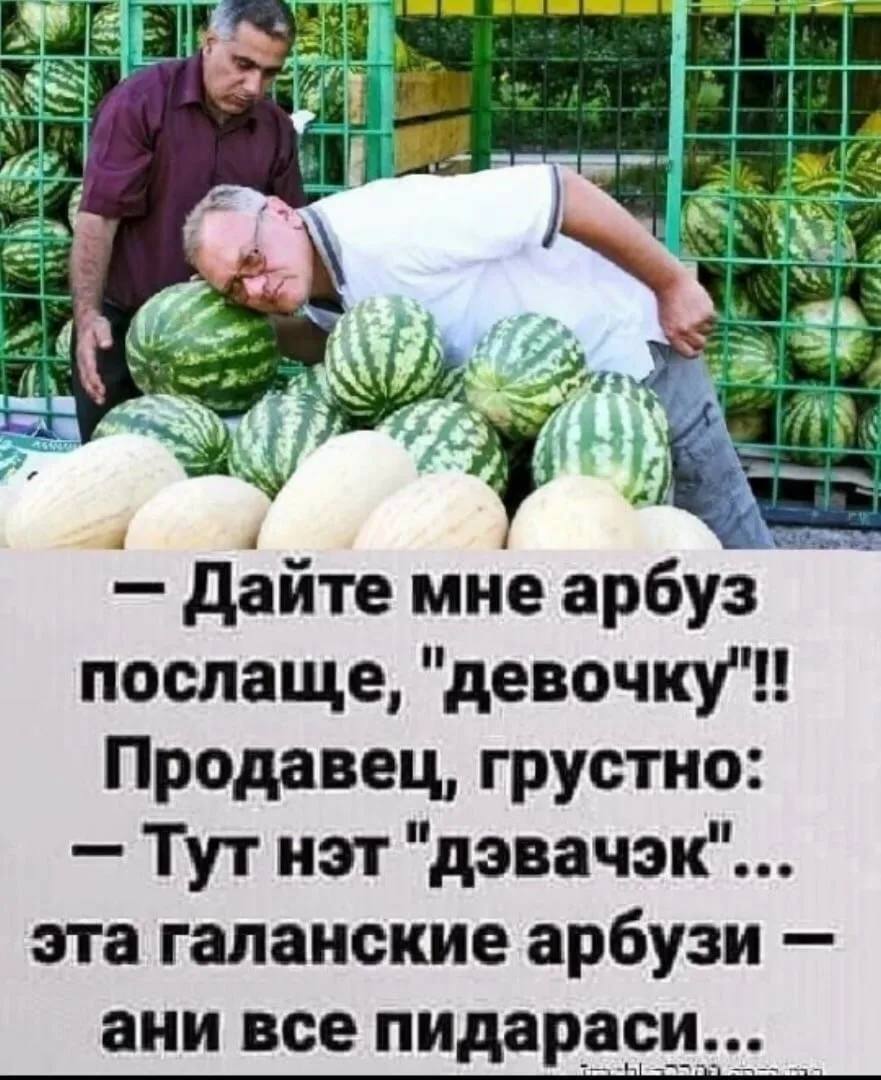 ain Дайте мне арбуз послаще, Продавец, грустно: Тутнэт "дэвачэк"... эта галанские арбузи ани все пидараси...