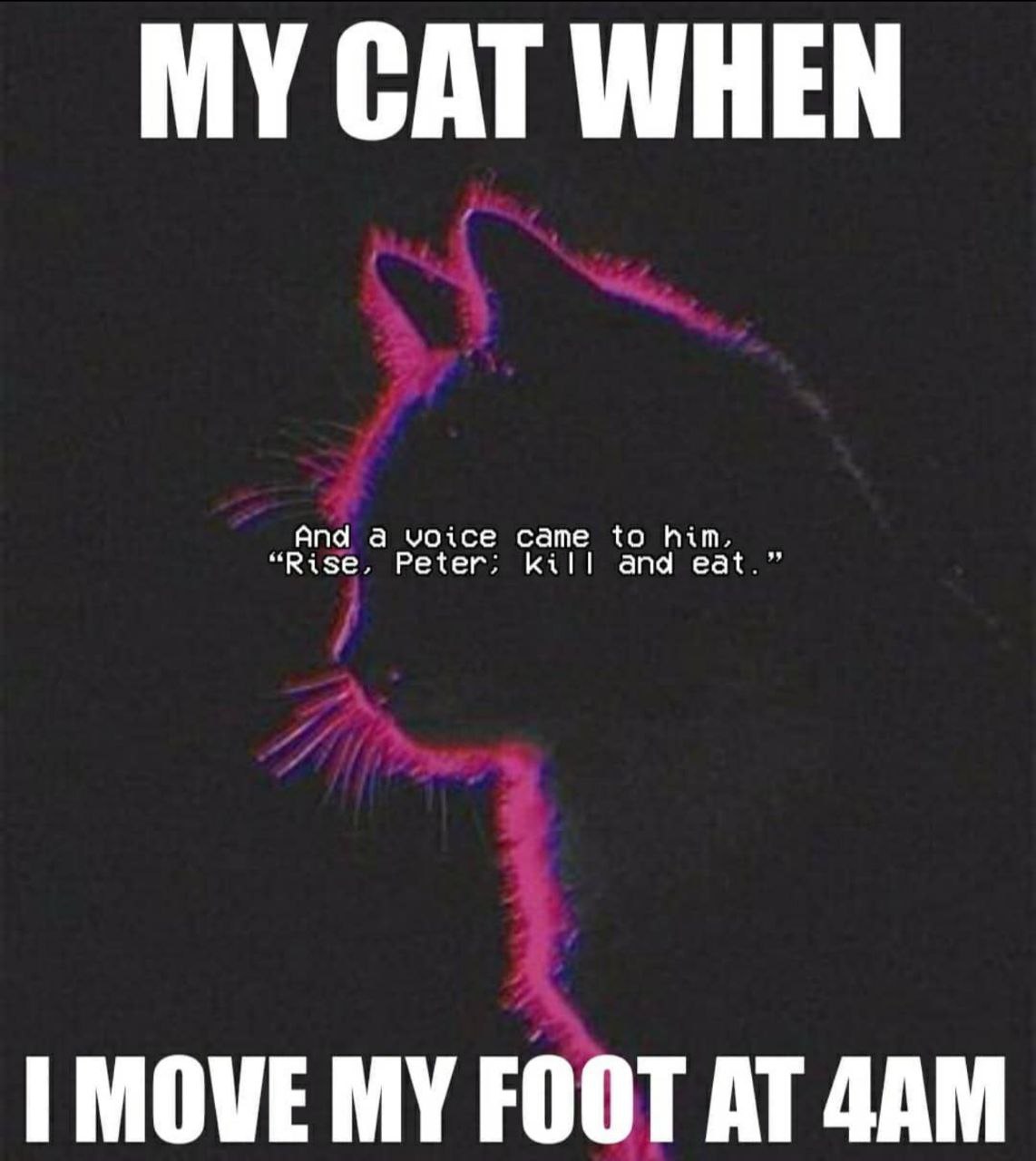 MY CAT WHEN And a voice came to hin. “Rise, Peter: kill and eat.” МОУЕМУ FOOT AT ДАМ