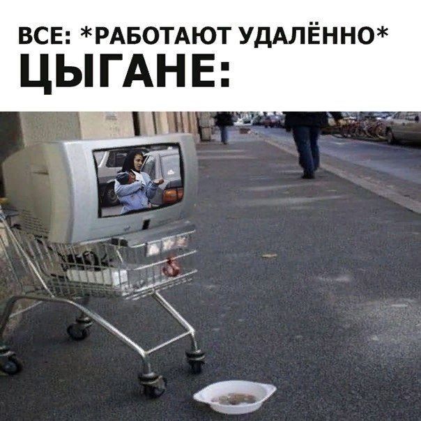 ВСЕ: *РАБОТАЮТ УДАЛЁННО* ЦЫГАНЕ: