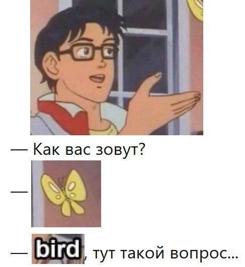 Как вас зовут? bird тут такой вопрос...