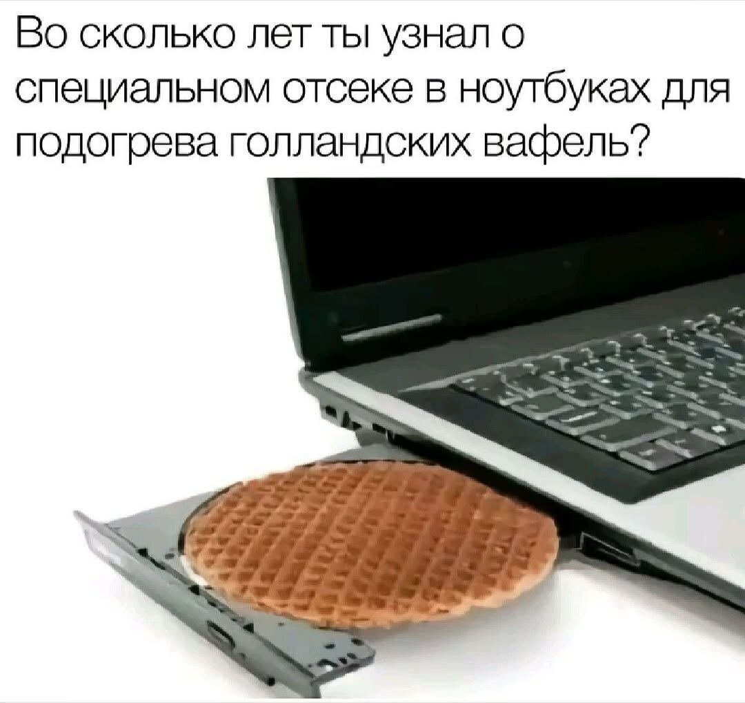 Во сколько лет ты узнал о специальном отсеке в ноутбуках для подогрева голландских вафель?