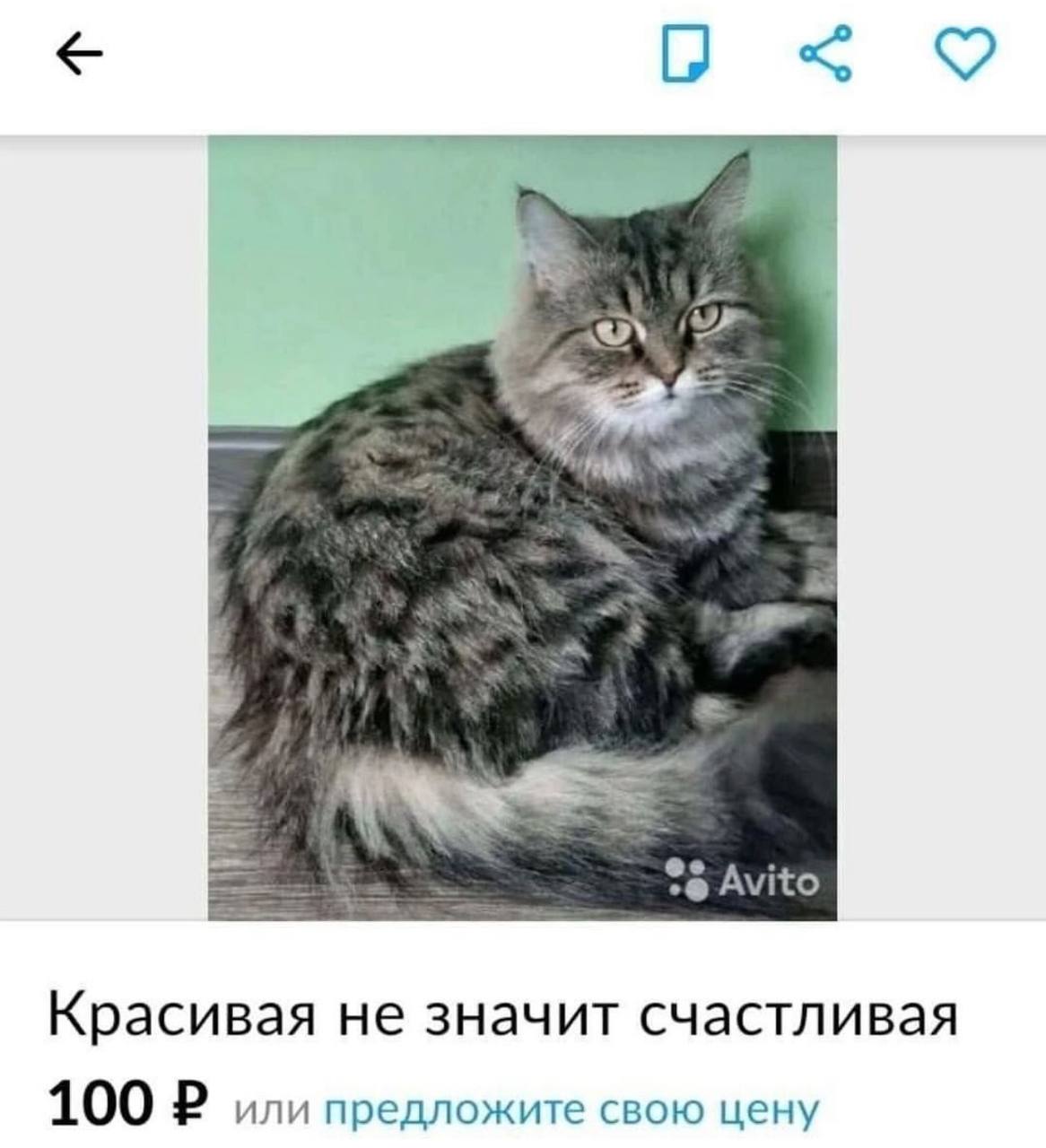 9 Avito Красивая не значит счастливая 100 или предложите свою цену