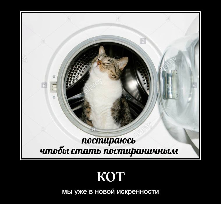 CORE) постираюсь чтобы стать KOT мы уже в НОВОЙ искренности