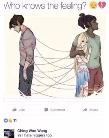 Who knows the feeling? 26 the Like Comment Share Oun Ching Woo Wang hate niggers too