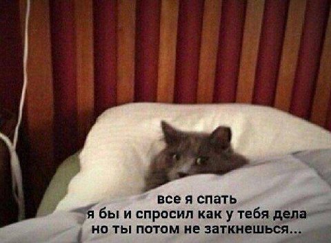 4 все я спать бы и спросил как у тебя дела но ты потом не заткнешься...