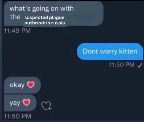 what’s going on with the suspected plague outbreak in russia Dont worry kitten okay yay