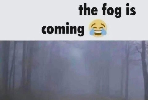 the fog is