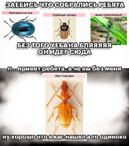 ЗАЕБИСЬЫЧТОСОБРАЛИСЬРЕБЯТА Горбатый калоед БЕЗТОГОУЕБАНАБЛЯЯЯЯЯ ОНИДЕКСЮДА Жук Гитлера