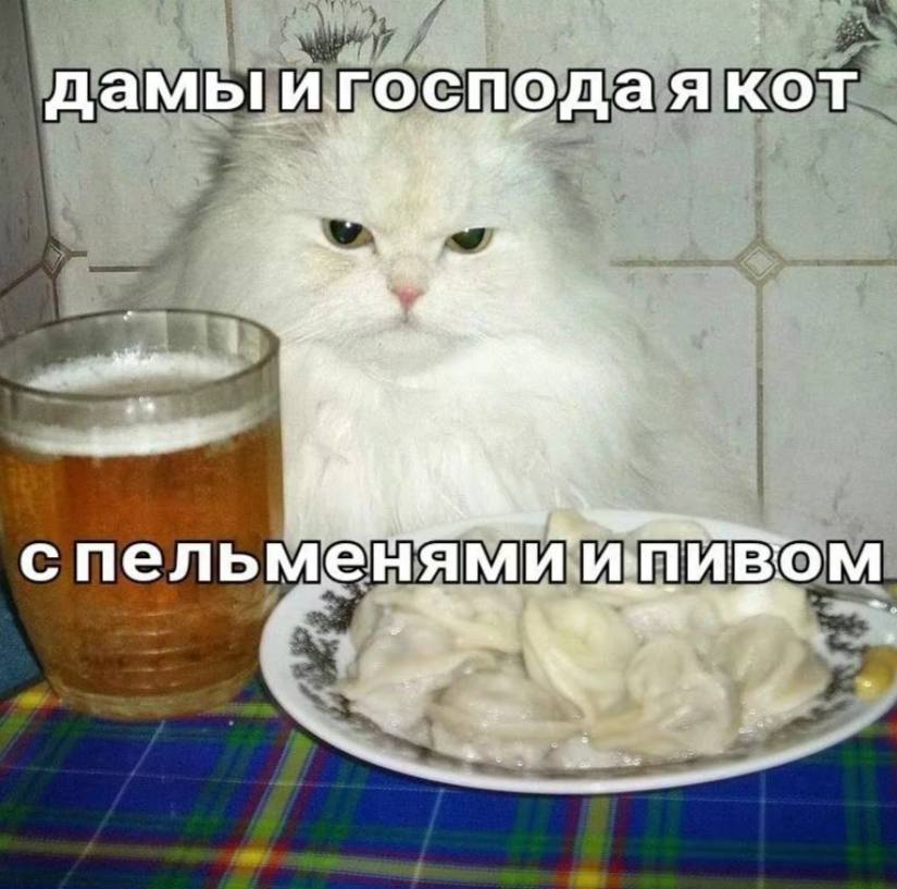 дамыигосподаякот a С пельменями