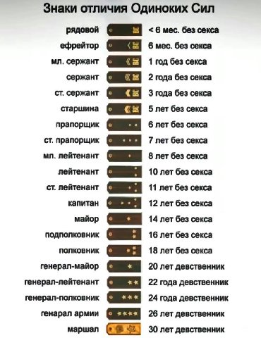 Знаки отличия Одиноких Сил рядовой 6 мес. без секса ефрейтор 6 мес. без секса сержант 1 год без секса сержант 2 года без секса сержант 3 года без секса старшина 5 лет без секса прапорщик 6 лет без сек