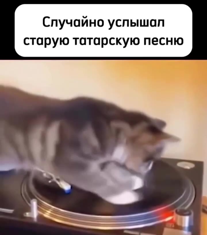 Случайно услышап старую татарскую песню После этого