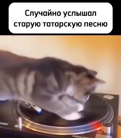 Случайно услышап старую татарскую песню После этого