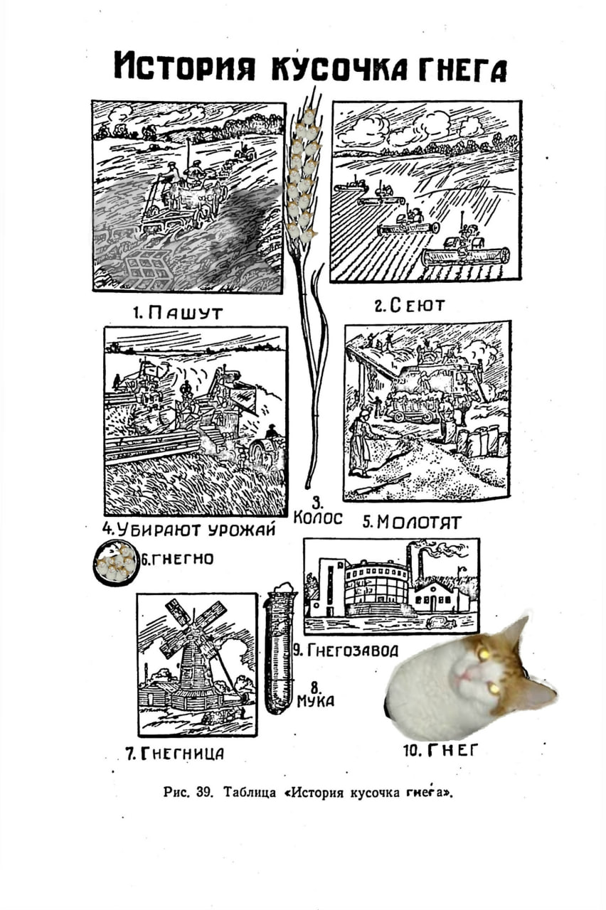 ИСТОРИЯ КУСОЧКА ГНЕГА 27 278 я wen Я 1. Пашут GALE: Me LAE a 17, We [2 К) 255 ESS Konoc 5 AT РАЮТ Урожай 6.ГНЕГНО 2 9. 7. 10. ГНЕГ Рис. 39. Таблица кусочка