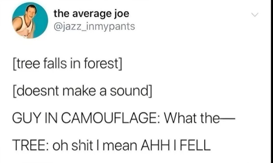 average joe @jazz_inmypants [tree falls in forest] [doesnt make a sound] GUY IN CAMOUFLAGE: What the— TREE: snit mean AHH FELL