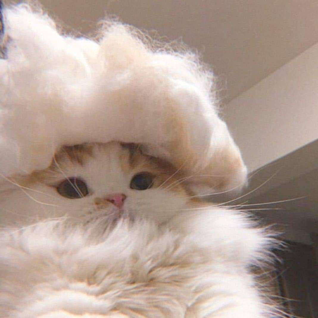 ready 4 new week