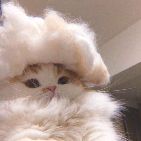 ready 4 new week