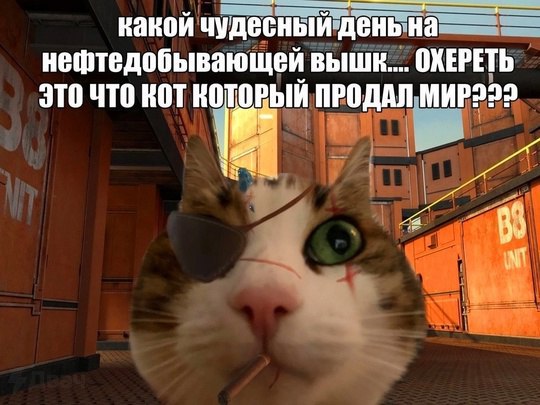 какой нештедобывающей вышк.... ОХЕРЕТЬ ЭТО ЧТО KOT КОТОРЫЙ We 4
