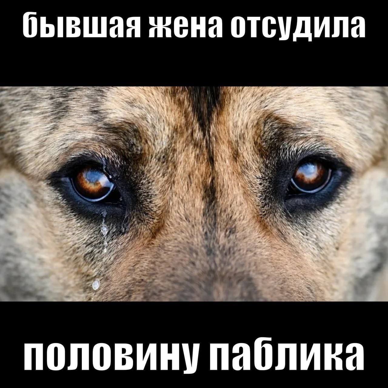 бывшая жена отсудила [00] и половину паблика