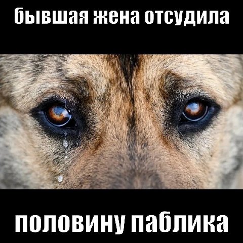 бывшая жена отсудила [00] и половину паблика