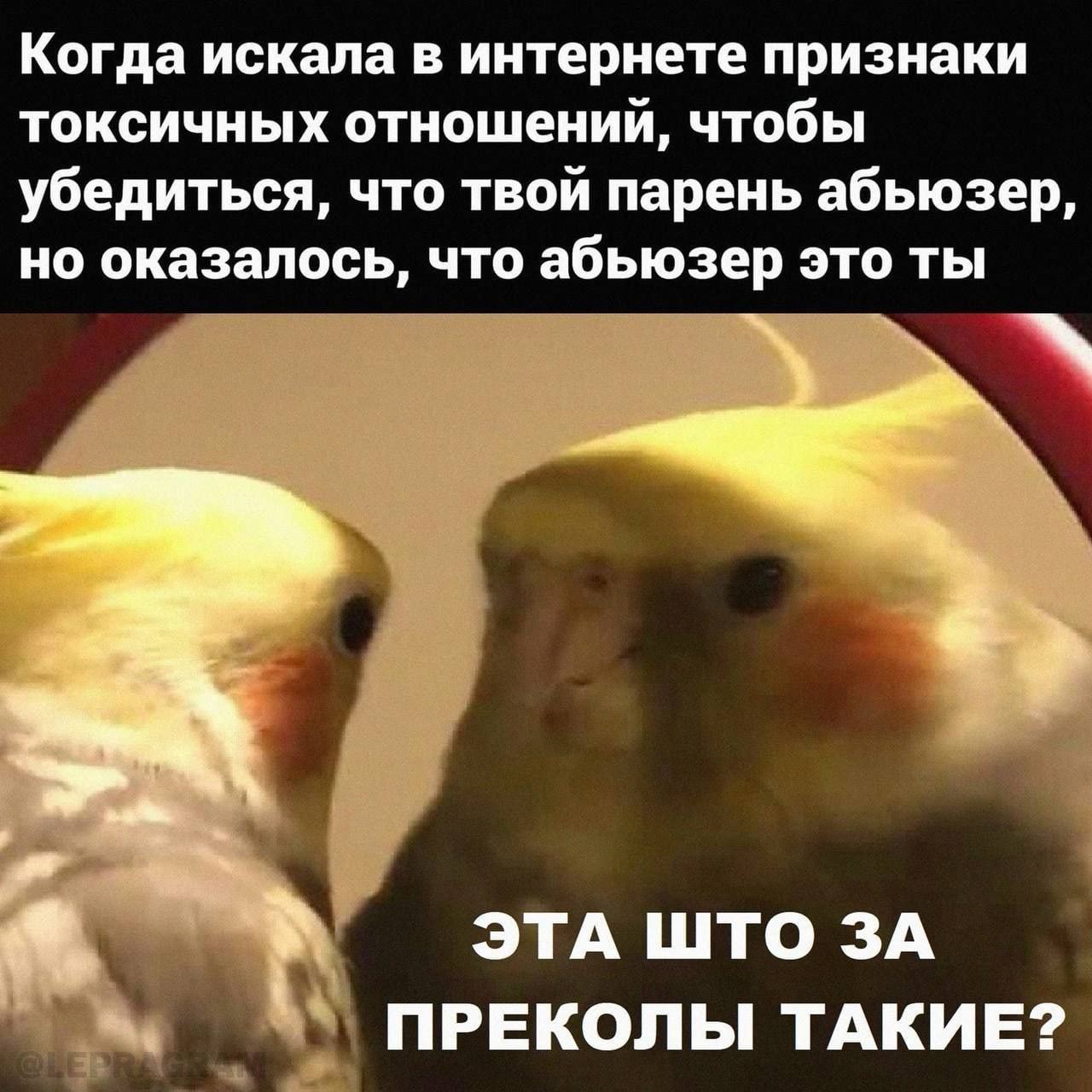 Когда искала в интернете признаки токсичных отношений, чтобы убедиться, что твой парень абьюзер, но оказалось, что абьюзер это ты ЭТА ШТО ЗА ПРЕКОЛЫ ТАКИЕ?
