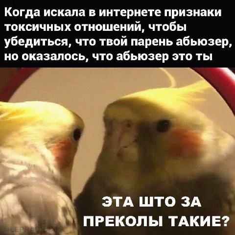 Когда искала в интернете признаки токсичных отношений, чтобы убедиться, что твой парень абьюзер, но оказалось, что абьюзер это ты ЭТА ШТО ЗА ПРЕКОЛЫ ТАКИЕ?