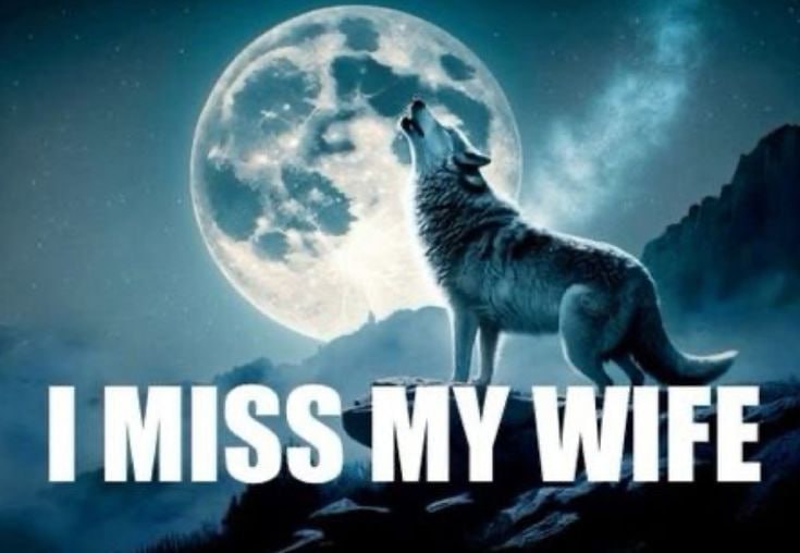 MISS MY WIFE