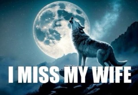 MISS MY WIFE