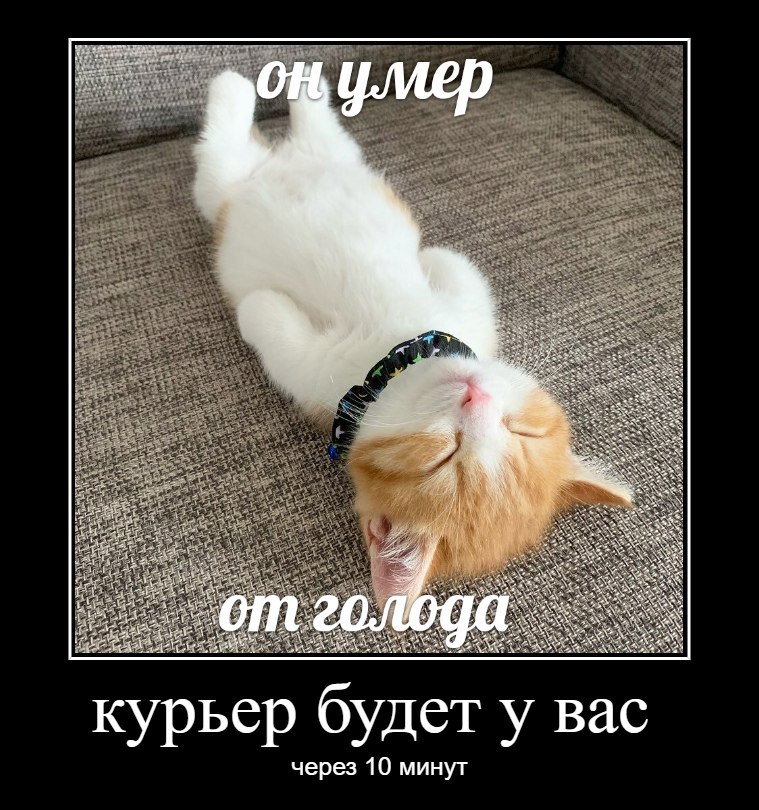 курьер будет у Bac через 10 минут