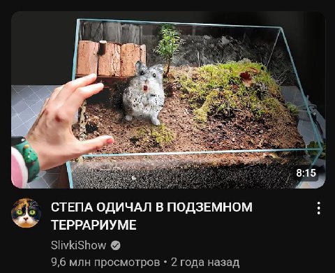 это я когда неделю не выхожу из дома

простите за миллениалообразные шутки но это правда