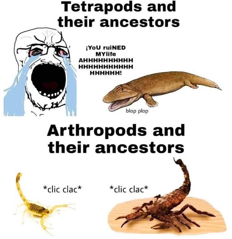Tetrapods and their ancestors iYoU ruiNED AHHHHHHHHHH 4 blop slop Arthropods and their ancestors *clic clac*