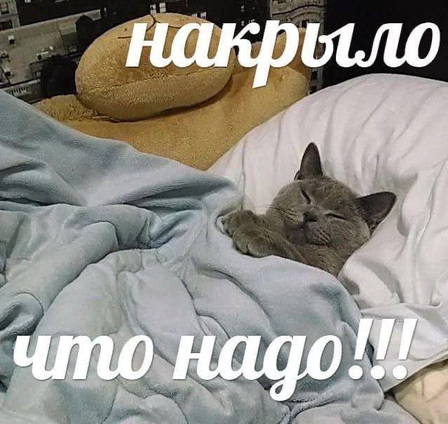 у i" что надо