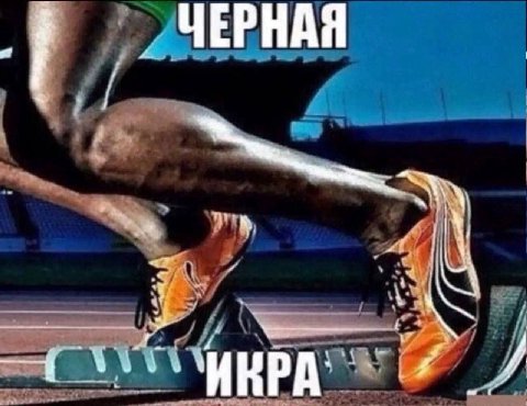 ЧЕРНАЯ