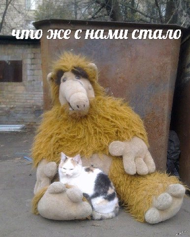 что же с нами стало