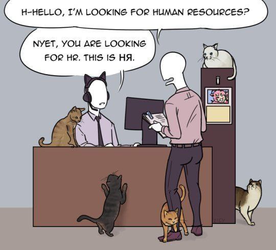 H-HELLO, LOOKING FOR HUMAN RESOURCES? МУЕТ, YOU APE LOOKING FOR THIS 1$