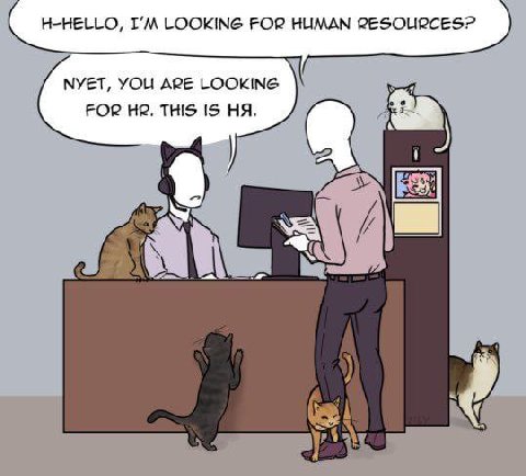 H-HELLO, LOOKING FOR HUMAN RESOURCES? МУЕТ, YOU APE LOOKING FOR THIS 1$