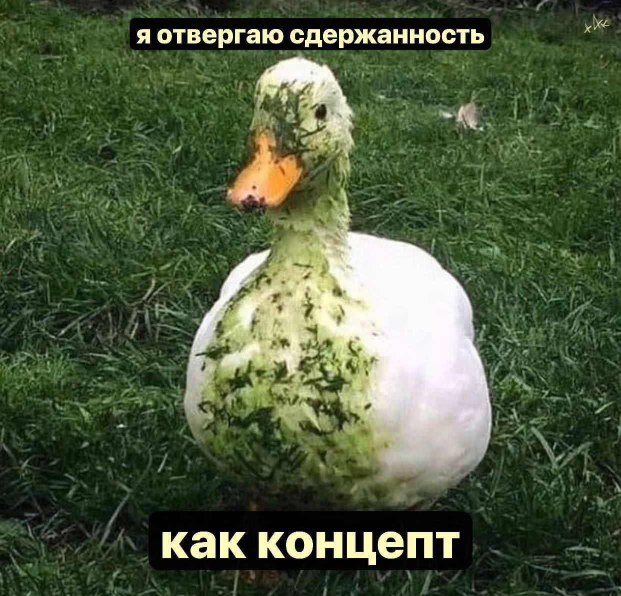 я отвергаю сдержанность a как концепт