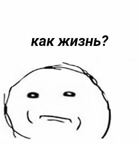 как жизнь?