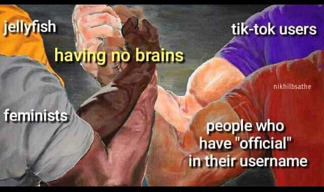 jellyfish tik-tok users no brains feminists people who have ‘official in their username