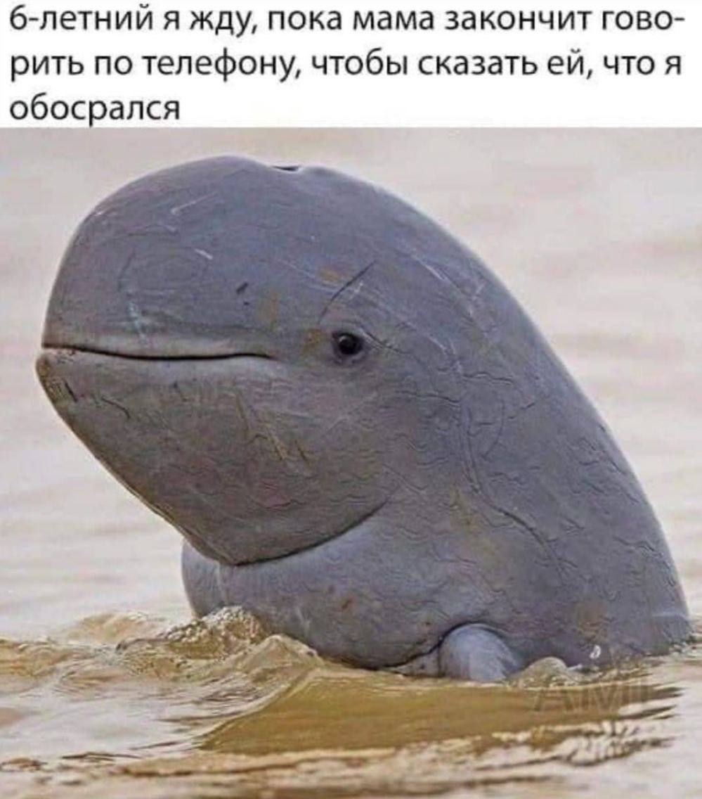 6-летний я жду, пока мама закончит гово- рить по телефону, чтобы сказать что я обосрался
