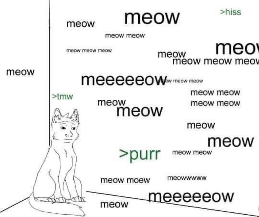 >hiss meow MEOW meow meow meow meow meow Meow тео! meow meow тео\ meow meow meow meow meow >tmw meow meow тео\м/ meow COW meow meow meow meowwwww