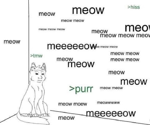 >hiss meow MEOW meow meow meow meow meow Meow тео! meow meow тео\ meow meow meow meow meow >tmw meow meow тео\м/ meow COW meow meow meow meowwwww