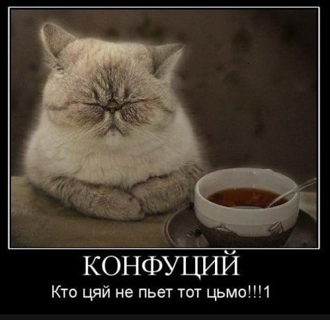 КОНФУЦИЙ Кто цяй не пьет тот цьмо!!!1