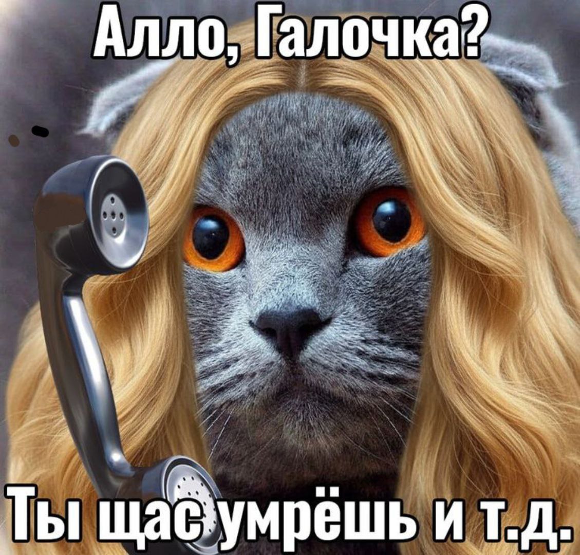 Алло, Ты щабумрешь ит.д.