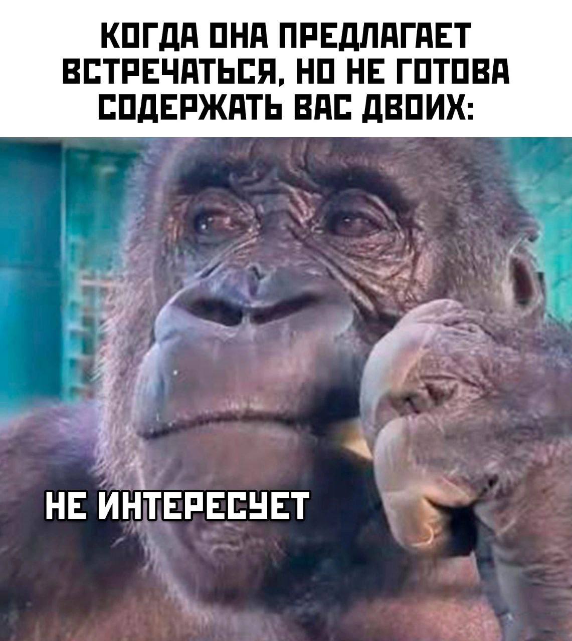 КОГДА ОНА ПРЕДЛАГАЕТ ВСТРЕЧАТЬСЯ, НО НЕ ГОТОВА СОДЕРЖАТЬ ВАС ДВОИХ: НЕ ИНТЕРЕСУЕТ