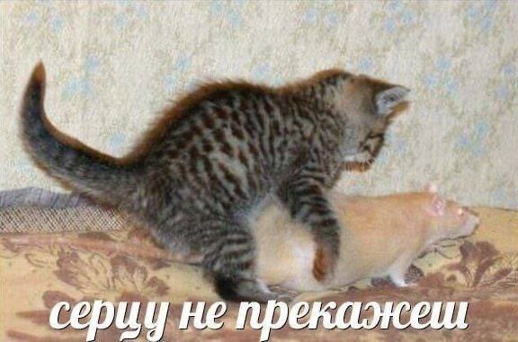 a we a he сериу He
