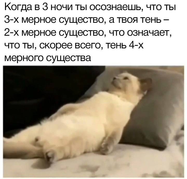 Когда в 3 ночи ты осознаешь, что ты мерное существо, а твоя тень мерное существо, что означает, что ты, скорее всего, тень мерного существа
