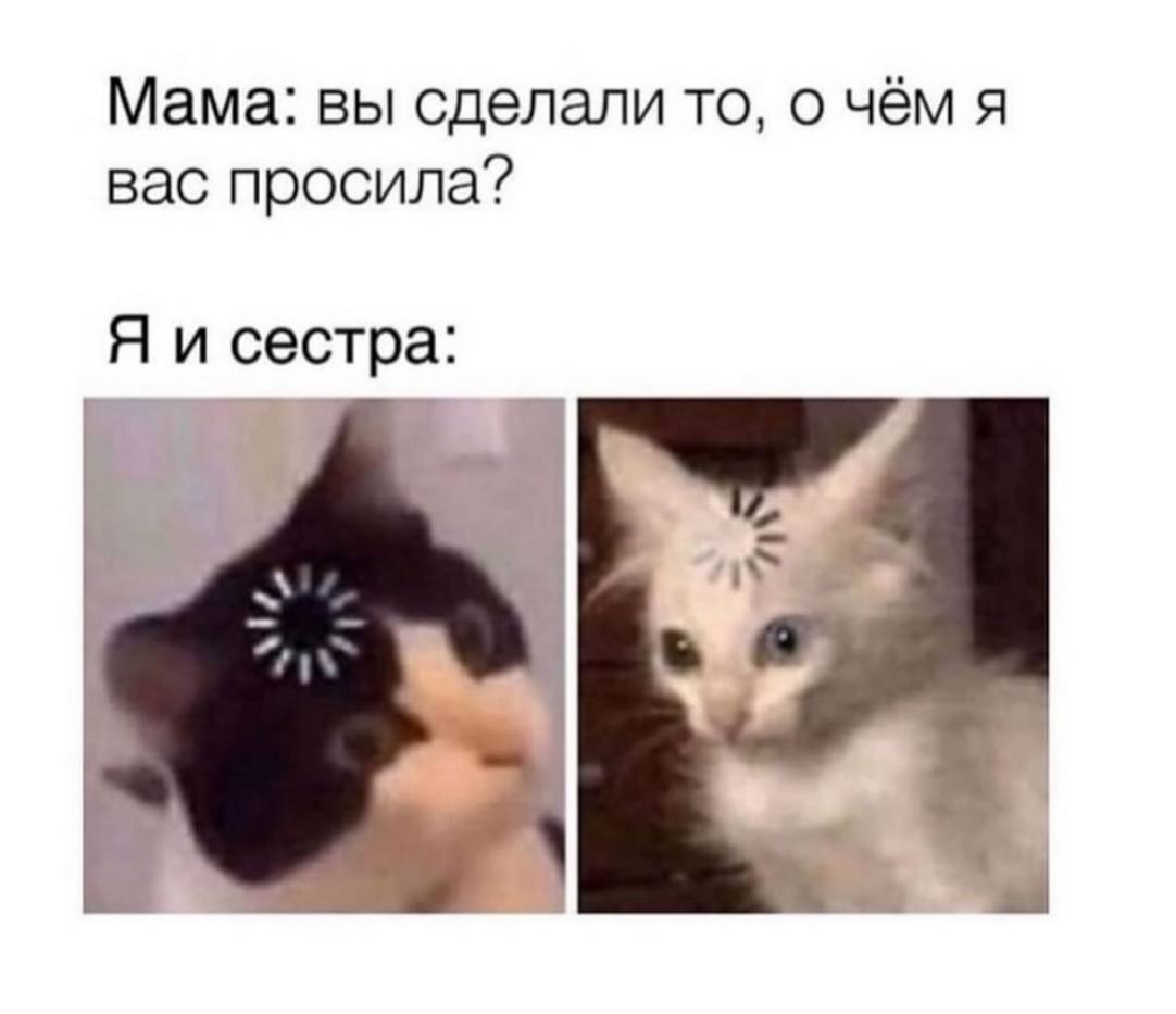 Мама: вы сделали то, о чём я вас просила? Я и сестра: