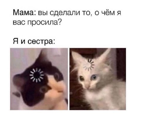 Мама: вы сделали то, о чём я вас просила? Я и сестра: